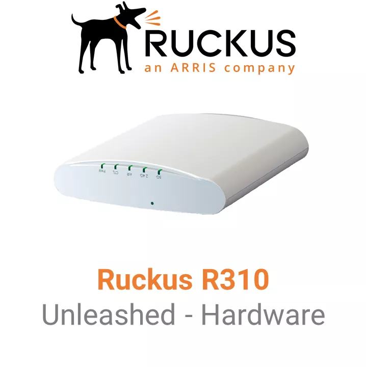 Ruckus ZoneFlex R310